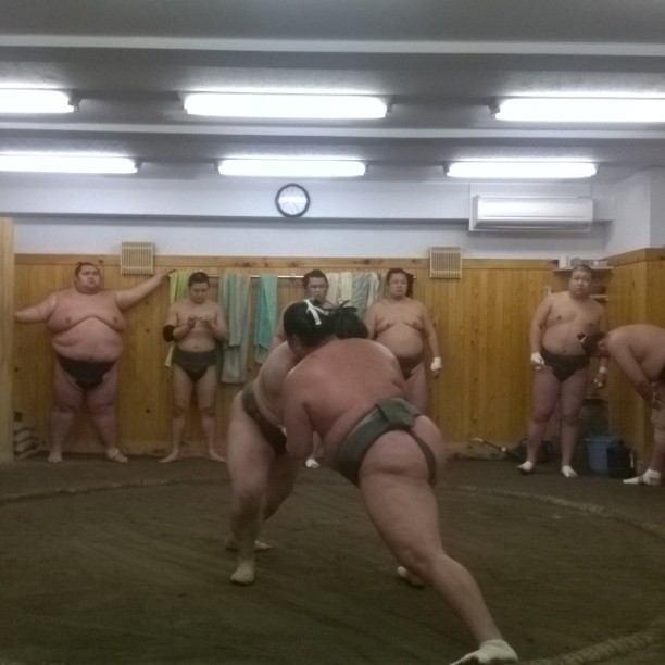 Sumo wrestlers at practicing at a sumo stable in Tokyo.