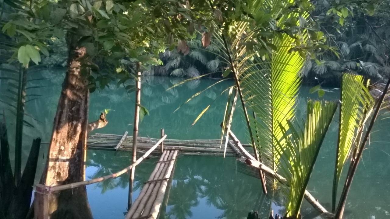 The river by Bohol Guest house