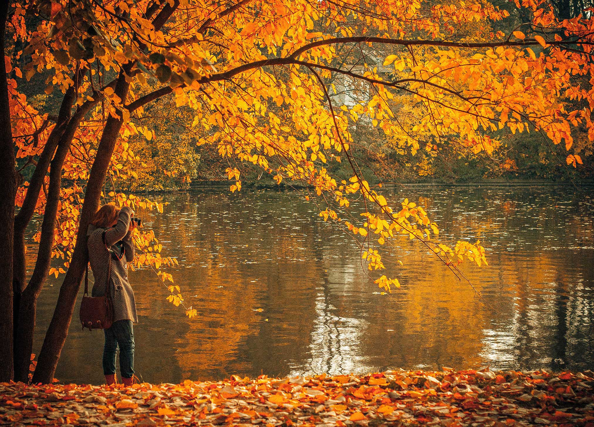 Toronto during autumn season