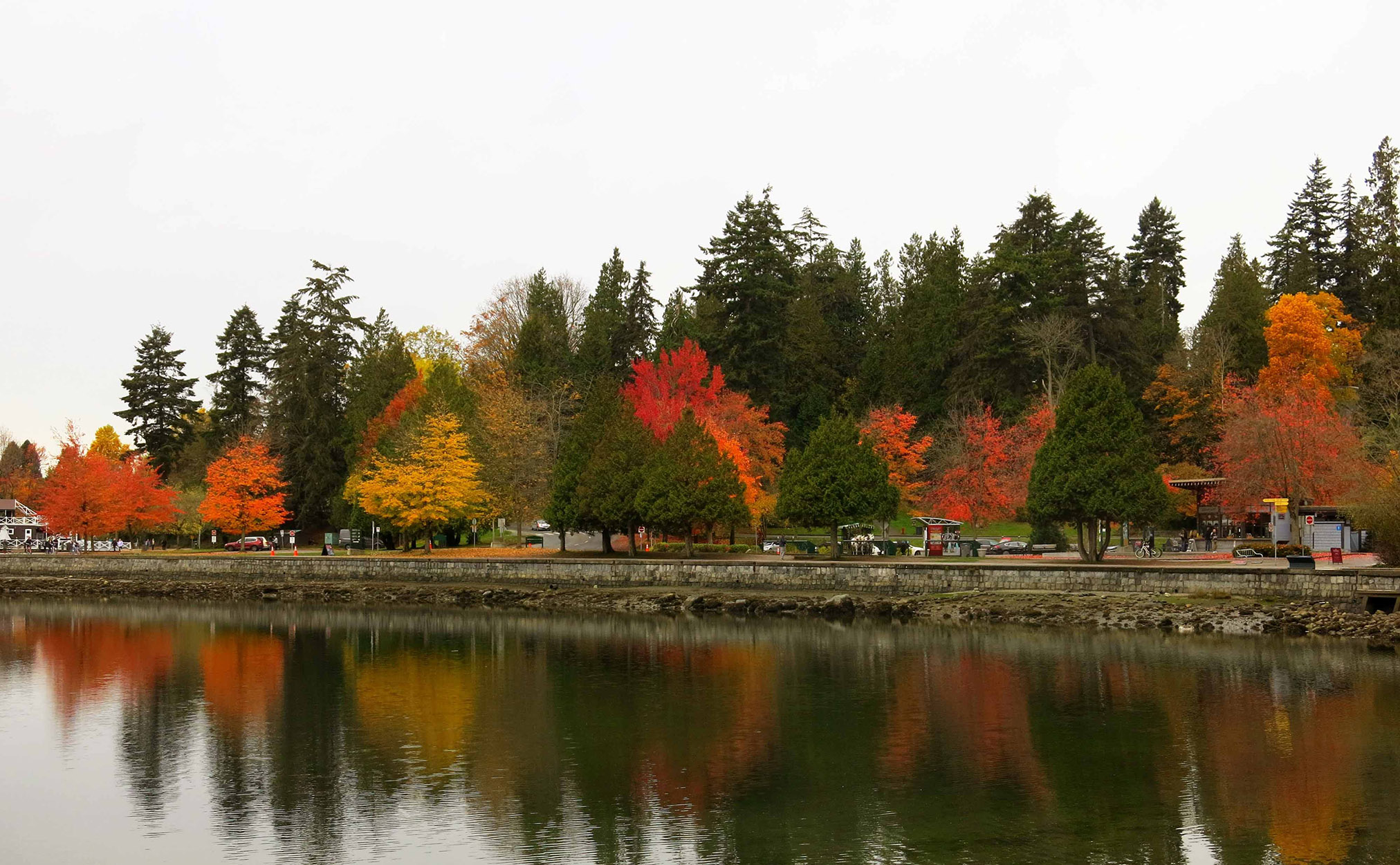 Vancouver during autumn season