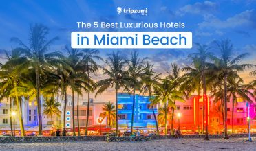 The 5 Best Luxurious Hotels in Miami Beach