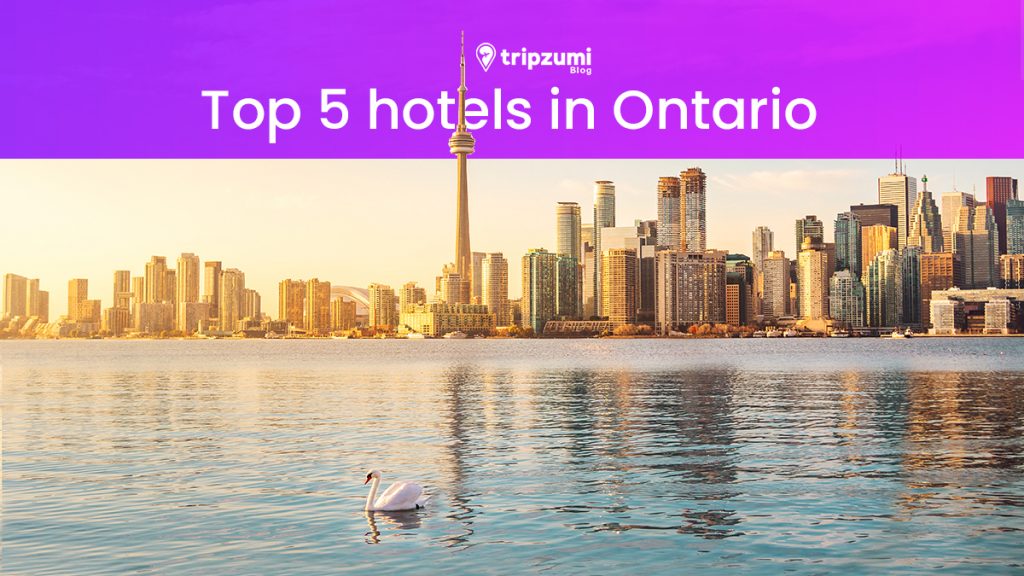 Top 5 hotels in Ontario