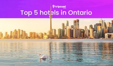 Top 5 hotels in Ontario