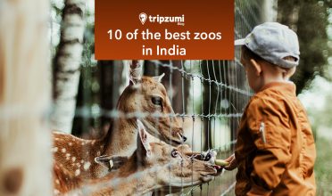 10 of the best zoos in India